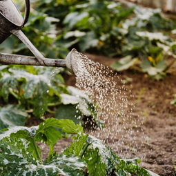 Moortown Gardening Service's