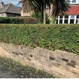 Moortown Gardening Service's