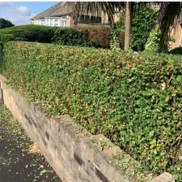 Moortown Gardening Service's